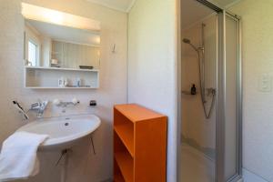 a bathroom with a sink and a shower at Fuechsle in Wildhaus +24 photos