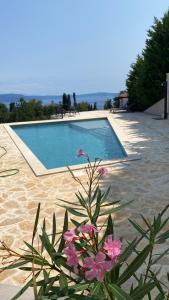 a plant with pink flowers in front of a swimming pool at Villa Castelina in Vicani