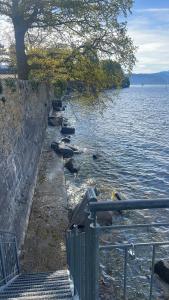 Φυσικό τοπίο κοντά σε αυτό το διαμέρισμα +4 φωτογραφίες