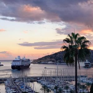 ein Kreuzfahrtschiff, das in einem Hafen mit einer Palme angedockt ist in der Unterkunft Apartamentos Nuevo Edificio Alba Cartagena centro Parking in Cartagena