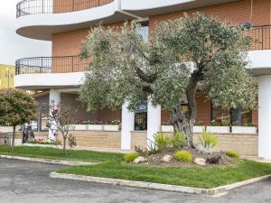 Zahrada ubytování B&B HOTEL Pomezia Cortese
