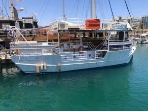 הפנינה הלבנה