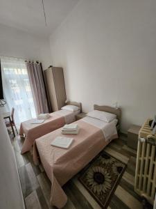 Postel nebo postele na pokoji v ubytování Casa Roxana