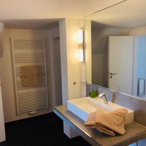 a bathroom with a sink and a large mirror at Kleine Auszeit auf Halbinsel Holnis in Holnis +6 photos