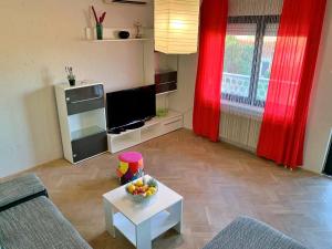 Telewizja i/lub zestaw kina domowego w obiekcie Apartment Rozi