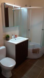La salle de bains est pourvue de toilettes, d'un lavabo et d'une douche. dans l'établissement Centro apartamentai - Vingio apartamentai, à Vilnius
