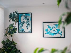 马拉喀什沙漠之源庭院旅馆的相册照片