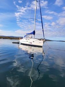 Gallery image of The Boat House Waterside Home in Adrigole +74 photos