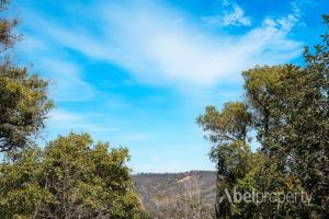 un groupe d'arbres à ciel bleu en arrière-plan dans l'établissement Historical cottage in the hills, à Greenmount