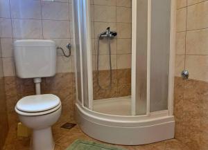 łazienka z toaletą i prysznicem w obiekcie Apartments Nevenka P. w mieście Šilo +19 zdjęć