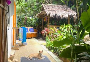 Κήπος έξω από το OASIS VILLA Karon Beach