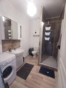 a bathroom with a sink and a washing machine at Appartement in Saint-Bonnet-le-Château