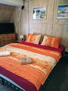 a bedroom with a large bed and a television at Penzion Kučera apartmán in Dolní Moravice