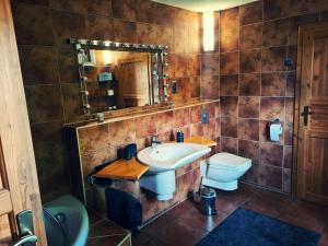 a bathroom with a sink and a toilet and a mirror at Ferienhaus am Pferdehof in Schapow +18 photos