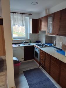 Kuchyň nebo kuchyňský kout v ubytování Apartmaji Stara Šola