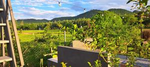 Una vista de un jardín con montañas al fondo. en Posada LA MARRU, en Paraguarí