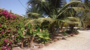 a row of palm trees and flowers in a garden at Chambre d'hôte les vacanciers in Nianing