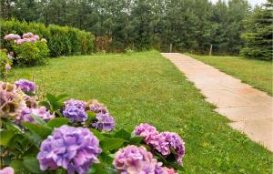 Un jardín con flores moradas junto a una pasarela. en 1 Bedroom Cozy Home In Bytów, en Bytów 8 fotos más
