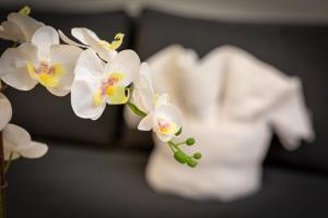 Fotografie z fotogalerie ubytování Christophe Studio Rouen centre v destinaci Rouen