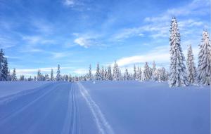 a snow covered road with snow covered trees in a field at 2 Bedroom Nice Apartment In Sjusjøen in Sjusjøen