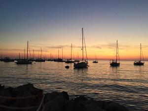 a group of boats in the water at sunset at Faber Apartments in Novigrad Istria +11 photos
