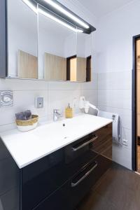 a bathroom with a sink and a mirror at Deluxe Ferienwohnung Winterberg mit private Sauna in Winterberg
