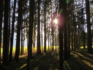 Naturlandschaft in der Nähe der Pension
