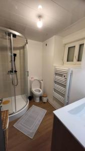 a bathroom with a shower and a toilet in it at Le QG in Saint-André-de-Cubzac