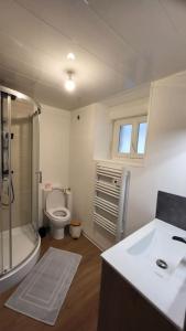 a bathroom with a sink and a toilet and a shower at Le QG in Saint-André-de-Cubzac