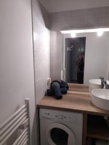 un bagno con lavatrice e lavandino di Studio greoux les bains a Gréoux-les-Bains