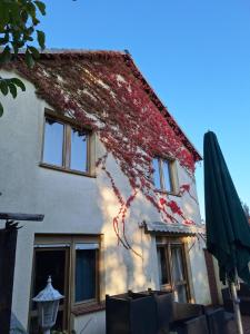 Gallery image of BnB Pribbenow - Pension, Camping & Eventlocation in Jürgenstorf