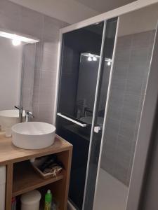 un bagno con lavandino e porta doccia in vetro di Studio greoux les bains a Gréoux-les-Bains