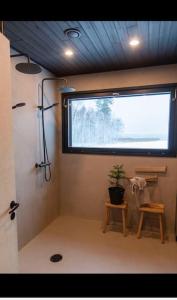 奥卢Log cabin of peace的浴室设有窗户、两张桌子和植物