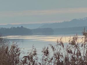 Afbeelding uit fotogalerij van HOTEL ZILLNERs EINKEHR *** in Altheim