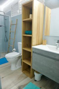 un bagno con lavandino e WC di La villa Azur classée 3 étoiles Moderne et Confortable à deux pas de la plage de l Anse à l Ane Trois Îlets - Service Petit Dej sur demande a Les Trois-Îlets