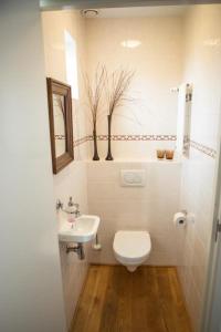 a white bathroom with a toilet and a sink at Weidevilla 14 auf Ameland in Hollum