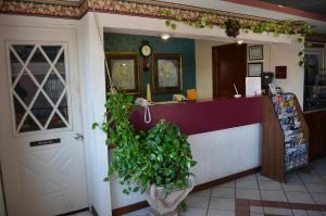 a restaurant with a counter with a potted plant at Executive Inn and Suites - Jackson in Jackson
