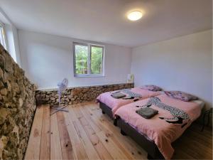 een slaapkamer met 2 bedden en een stenen muur bij La Roche 8 in Aigues-Vives +18 foto's