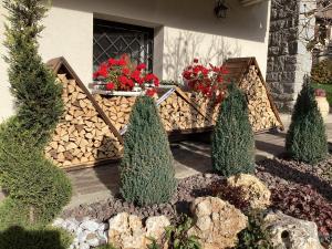 Zahrada ubytování B&b Villa Paradiso