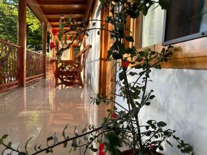 Balkon oz. terasa v nastanitvi Hotel Javy