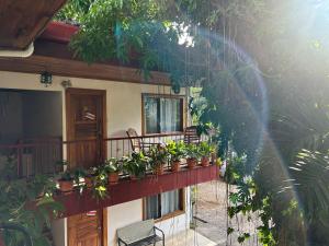 Balkon oz. terasa v nastanitvi Hotel Javy