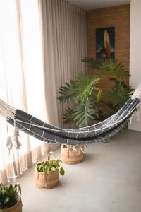 Casa Ahu外面的花园