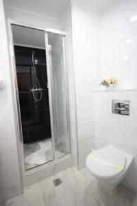 Koupelna v ubytování Hotel Soimul