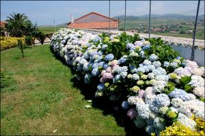una fila de flores azules y blancas en una pared en Vivienda Rural Las Candelas, en Oreña