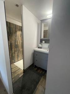 a bathroom with a sink and a mirror at Le Moulin de Vrai in Domfront-en-Champagne +3 photos
