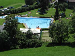 Bazén v ubytovaní Schweizer Hof alebo v jeho blízkosti