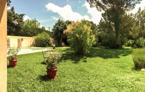 a yard with potted plants and a swimming pool at Gorgeous Home In Saint Saturnin Lès Avi in Saint-Saturnin-les-Avignon