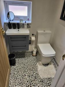 a bathroom with a toilet and a sink and a mirror at Beautiful Self Contained Cottages in Westbury in Westbury
