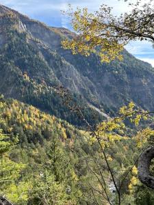 Photo de la galerie de l'établissement Le ptit paradis, à Conthey 11 autres photos