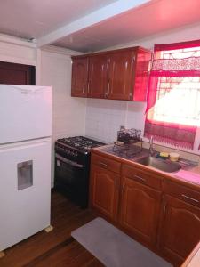 una cucina con un frigorifero bianco e un lavello di Stay in the Heart of the City a Georgetown